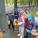 IMG_20221006_101936.jpg
