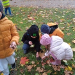 IMG_20221006_102232.jpg