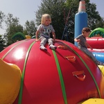IMG_20230529_104516.jpg