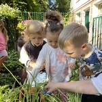 IMG_5864.jpg