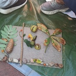 IMG_20240923_101529.jpg
