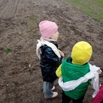 IMG_20251017_093339.jpg