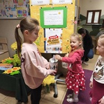 IMG_20260313_064420.jpg