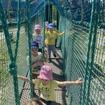 image13.jpeg
