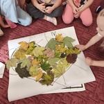 IMG_20261001_094537.jpg