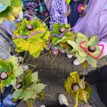 IMG_20261002_122422.jpg